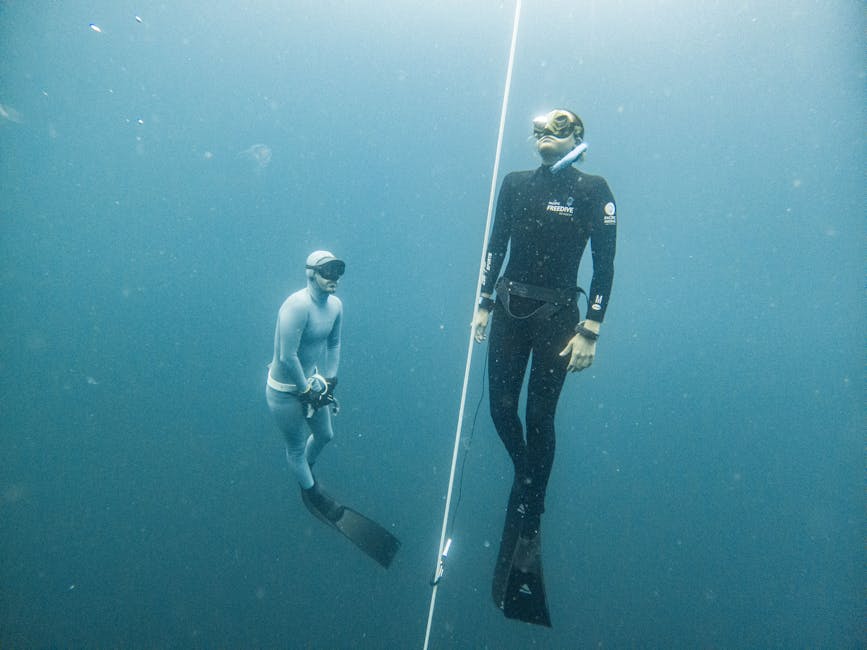 Stop Comparing AIDA and SSI Freediving Certifications by Price Alone-Here’s What Actually Matters