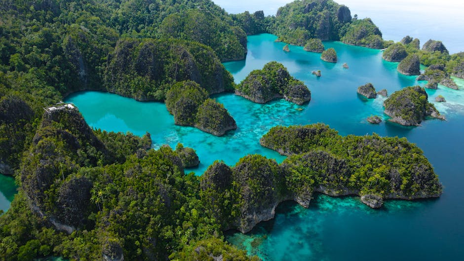 How to Choose a Safe Raja Ampat Liveaboard for 2026: Operator Comparison, Real Pricing, and Booking Strategy