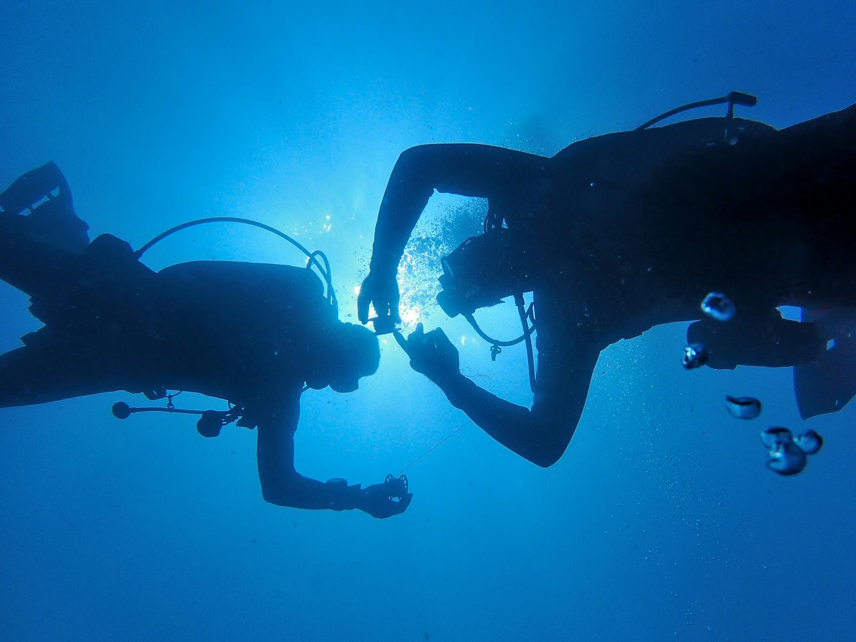 Shearwater vs Garmin dive computer 2026