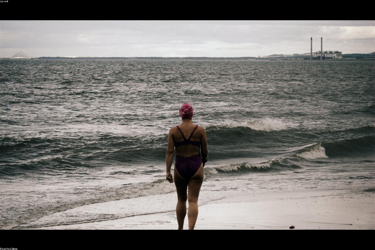 Open Water Swimming Adventures 2026: Channel Crossings, Ocean Swims and Wild Wat | oceansfreedom.com