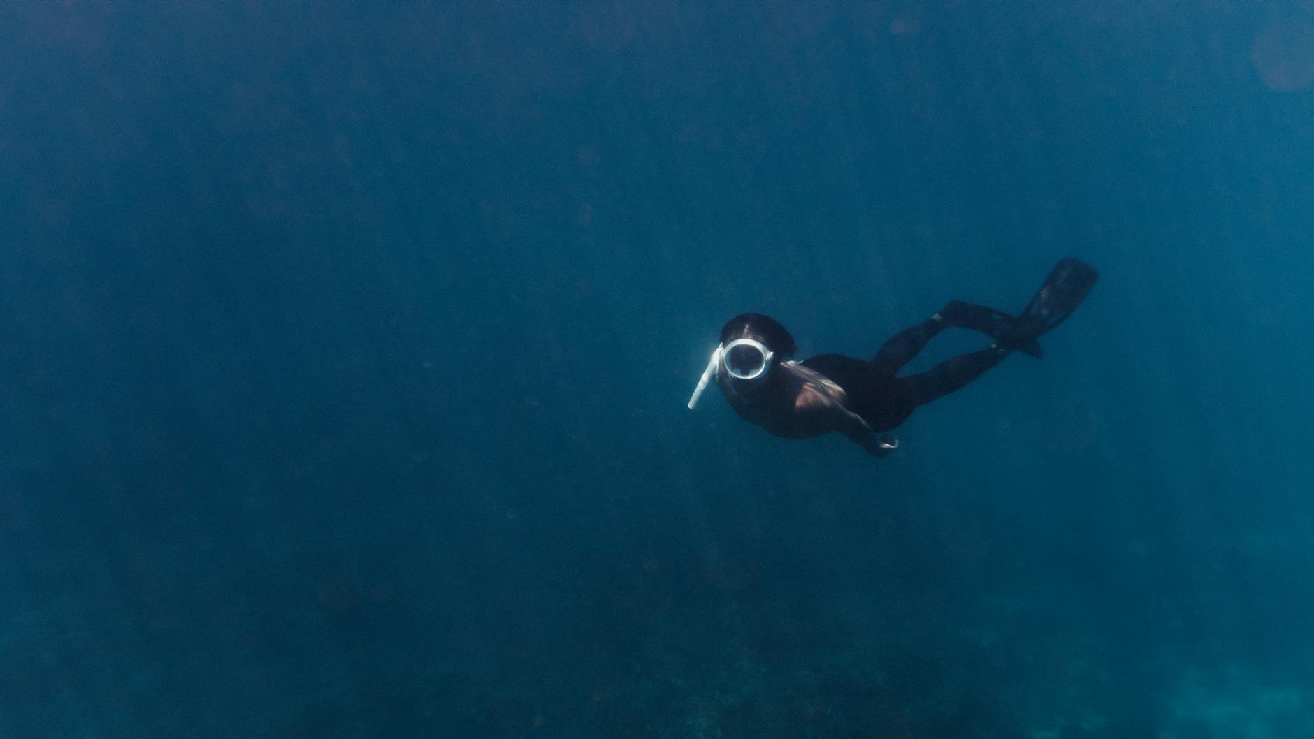 How to Get Your Freediving Certification in 2026: AIDA vs SSI vs PADI Compared