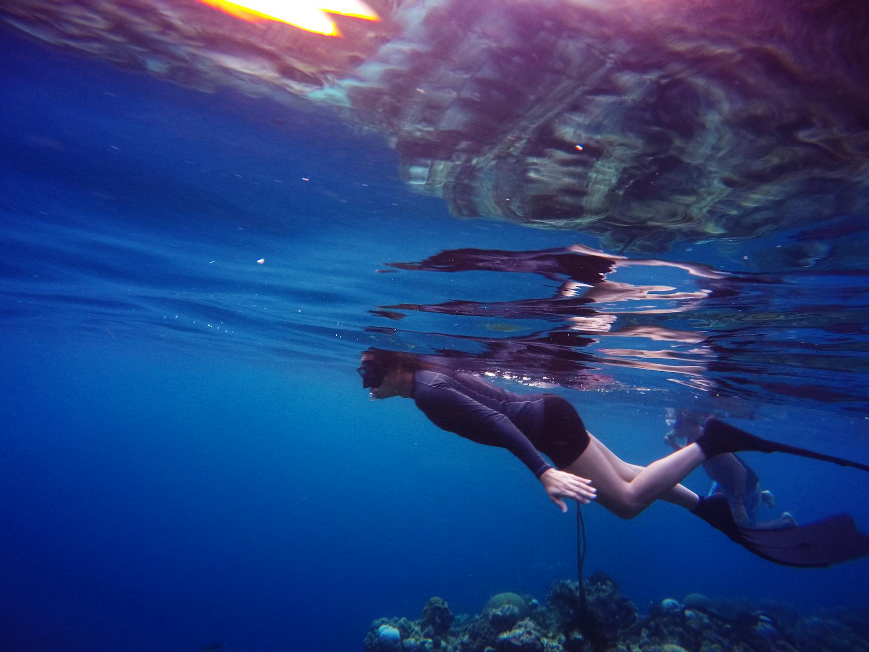 Freediving in the Maldives: Everything You Need to Know for 2026