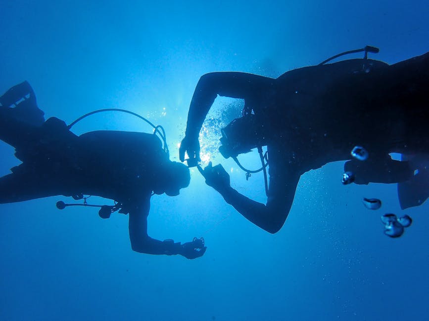 Shearwater vs Garmin Dive Computers: Which One Actually Stops Bad Nitrogen Narcosis Decisions?